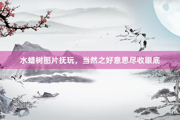 水蜡树图片抚玩，当然之好意思尽收眼底