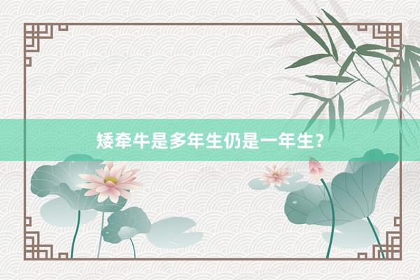矮牵牛是多年生仍是一年生？