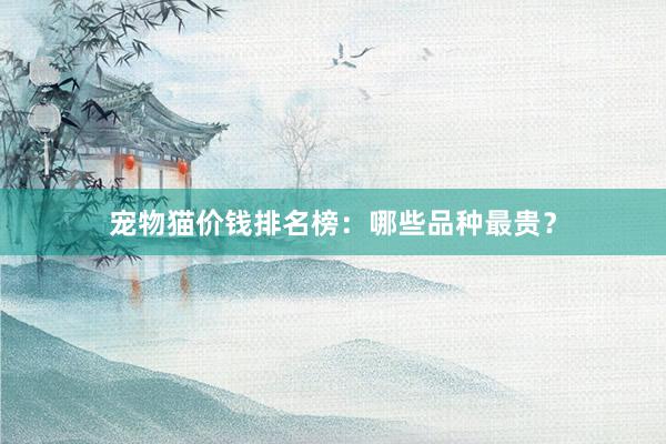 宠物猫价钱排名榜:哪些品种最贵?