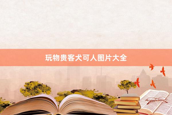 玩物贵客犬可人图片大全