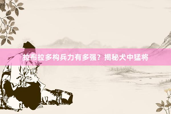 拉布拉多构兵力有多强？揭秘犬中猛将